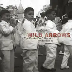 The Punks Don't Know What Punk Is - EP by Wild Arrows album reviews, ratings, credits