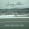 Why Do You Cry - Single album lyrics, reviews, download