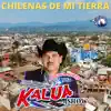 Chilenas De Mi Tierra album lyrics, reviews, download