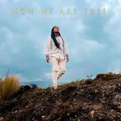 Now We Are Free (Flute) - Single by Raimy Salazar album reviews, ratings, credits
