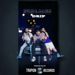 Punjabi Drip - Single by Shoonya, Basic & Root album reviews, ratings, credits