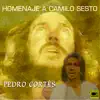 Homenaje a Camilo Sesto album lyrics, reviews, download