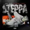Steppa (feat. Juwop) - Single album lyrics, reviews, download