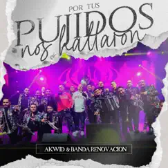 Por Tus Pujidos Nos Hallaron - Single by Akwid & Banda Renovacion album reviews, ratings, credits