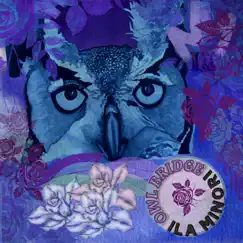 Owl Bridge - Single by Ila Minori album reviews, ratings, credits