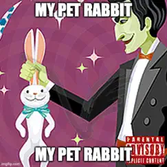 My Pet Rabbit - Single by Your The Best album reviews, ratings, credits
