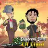 Different State of Mind - Single (feat. Big Louie) - Single album lyrics, reviews, download