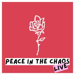 Peace in the Chaos (Live) by BOLD AS LIONS album reviews, ratings, credits