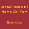 Grane Dasta Da Mama Zoi Yam - Single album lyrics, reviews, download