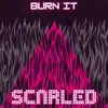 Burn It - Single album lyrics, reviews, download