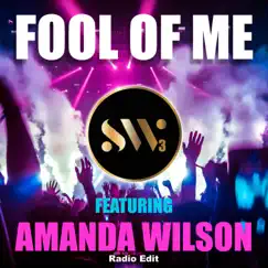 Fool of Me (Radio Edit) [feat. Amanda Wilson] Song Lyrics