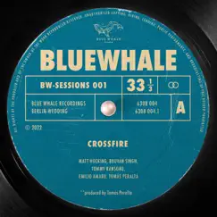 Crossfire - Single by Blue Whale, Bhuvan Singh & Easy Read album reviews, ratings, credits