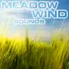 Meadow Wind Sounds (feat. OurPlanet Soundscapes, Paramount Soundscapes, Paramount White Noise, Paramount White Noise Soundscapes, White Noise Plus & White Noise TM) album lyrics, reviews, download