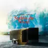 Subio de Nivel - Single album lyrics, reviews, download