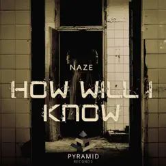 How Will I Know - Single by Naze album reviews, ratings, credits
