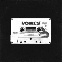 VOWLS (feat. Arvid Häggström) - Single by VØID & Dimvol album reviews, ratings, credits