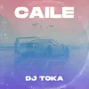 Caile - Single album lyrics, reviews, download