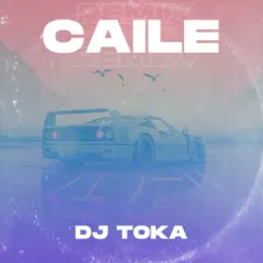 Caile - Single by DJ Toka album reviews, ratings, credits