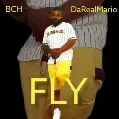 Fly - Single by DaRealMario album reviews, ratings, credits