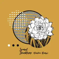 Steinblume (Incl. Dandara Remix) - Single by Spaniol & Dandara album reviews, ratings, credits