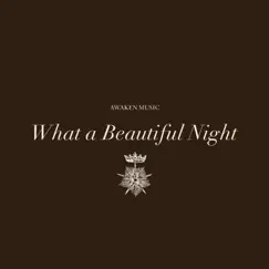 What a Beautiful Night - Single by Awaken Music album reviews, ratings, credits