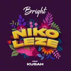 Nikoleze (feat. Kusah) - Single by BRIGHT album reviews, ratings, credits