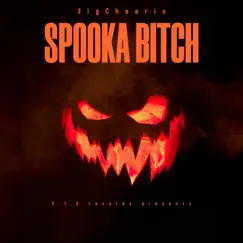 Spooka Bitch - Single by 3igcheerio album reviews, ratings, credits