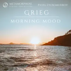Peer Gynt Suite No. 1, Op. 46: Morning Mood (Arr. for Strings) Song Lyrics