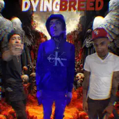 Dying Breed by P$g AJ album reviews, ratings, credits