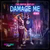 Damage Me (Remix) - Single album lyrics, reviews, download