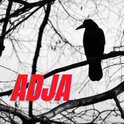 ADJA (feat. Salty3r & Prynce) - Single by Niño di Kenken album reviews, ratings, credits