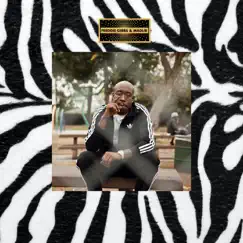 Piñata (Deluxe Edition) by Freddie Gibbs & Madlib album reviews, ratings, credits