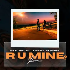 R U Mine? (Remix) - Single by Psycho Cat & Chemical Noise album reviews, ratings, credits