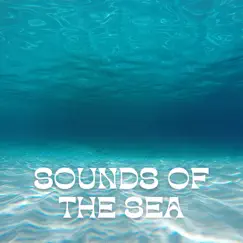 Ocean Underwater Sound Song Lyrics