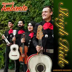 Sleigh Ride - Single by Mariachi Ambiente album reviews, ratings, credits