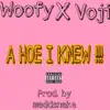 A Hoe I Knew (feat. Voji Reck, LiL'WooFyWooF & maddsnake) - Single album lyrics, reviews, download