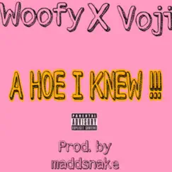 A Hoe I Knew (feat. Voji Reck, LiL'WooFyWooF & maddsnake) Song Lyrics