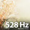 528 Hz Meditation Tones Brain Music - EP album lyrics, reviews, download