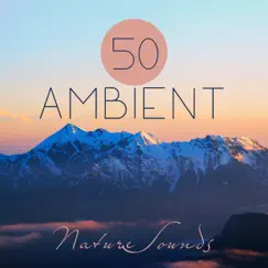 Ambient: Soundscapes Relaxing Instrumental Music Song Lyrics