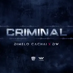 Criminal - Single by DW & Vladi Cachai album reviews, ratings, credits