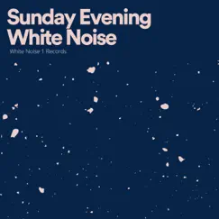 Sunday Evening White Noise, Pt. 10 Song Lyrics