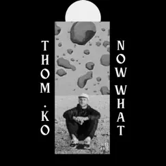 Now What - Single by Thom.ko album reviews, ratings, credits