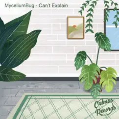 Can't Explain - Single by MyceliumBug & Calmas Records album reviews, ratings, credits