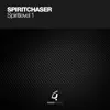 Spiritlevel 1 - Single album lyrics, reviews, download