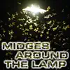 Midges Around the Lamp (feat. OurPlanet Soundscapes, Paramount Nature Soundscapes, Paramount White Noise, Paramount White Noise Soundscapes, White Noise Plus & White Noise TM) album lyrics, reviews, download