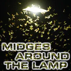 Summer Night Midges & Lamp Sounds (feat. OurPlanet Soundscapes, Paramount Nature Soundscapes, Paramount White Noise, Paramount White Noise Soundscapes, White Noise Plus & White Noise TM) Song Lyrics