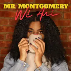 Mr. Montgomery - Single by Wé Ani album reviews, ratings, credits