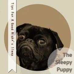 Tips For a Good Night's Sleep by The Sleepy Puppy album reviews, ratings, credits
