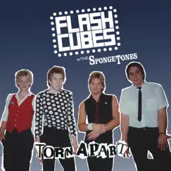 Torn Apart (feat. The Spongetones) - Single by The Flashcubes album reviews, ratings, credits