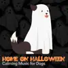 Home on Halloween Calming Music for Dogs album lyrics, reviews, download